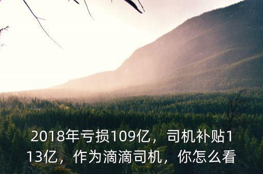 2018年虧損109億，司機(jī)補(bǔ)貼113億，作為滴滴司機(jī)，你怎么看