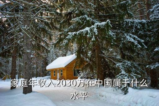 家庭年收入2030萬(wàn)在中國(guó)屬于什么水平