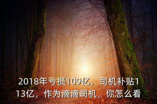 2018年虧損109億，司機(jī)補(bǔ)貼113億，作為滴滴司機(jī)，你怎么看