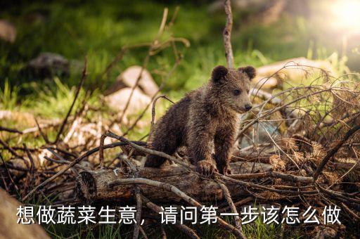 蔬菜批發(fā)生意怎么做相關推薦,想做蔬菜生意