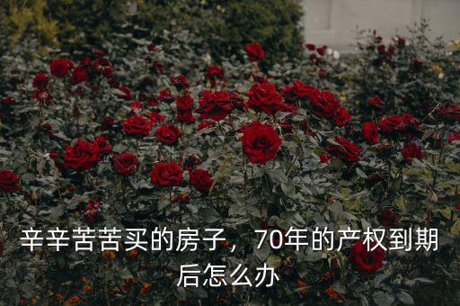 中國(guó)的房子70年后怎么辦,70年的產(chǎn)權(quán)到期后怎么辦