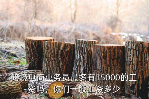 跨境電商業(yè)務員最多有15000的工資嗎，你們一般工資多少