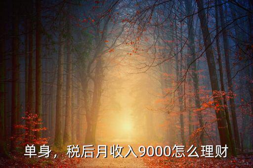 單身，稅后月收入9000怎么理財(cái)