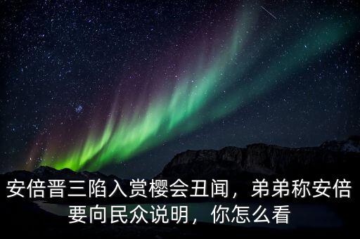 日本民眾怎么看安倍,弟弟稱安倍要向民眾說(shuō)明