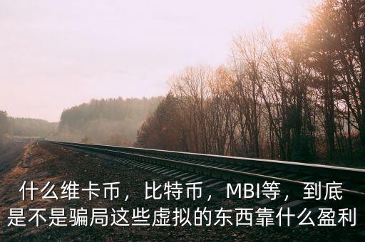 什么維卡幣，比特幣，MBI等，到底是不是騙局這些虛擬的東西靠什么盈利