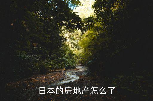 日本的房地產(chǎn)怎么了