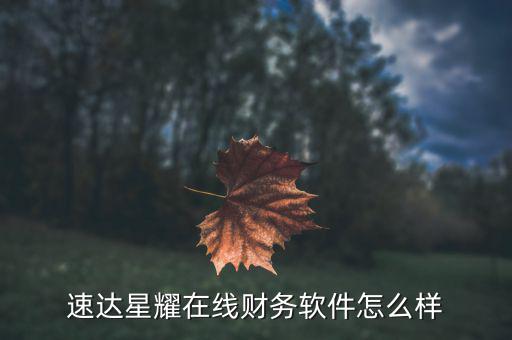 網(wǎng)達軟件怎么樣,速達星耀在線財務(wù)軟件怎么樣