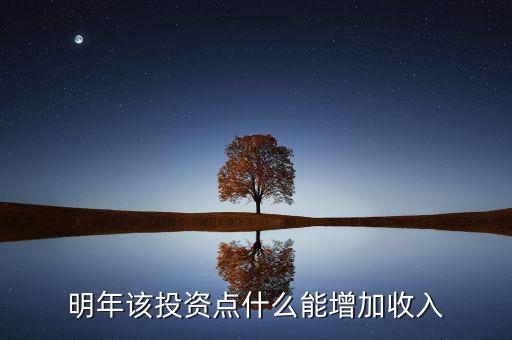 明年該投資點(diǎn)什么能增加收入