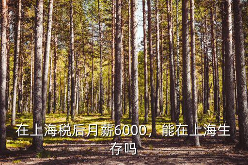 在上海稅后月薪6000，能在上海生存嗎