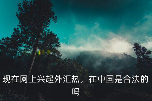 現(xiàn)在網(wǎng)上興起外匯熱，在中國是合法的嗎