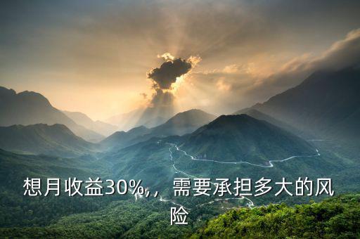 想月收益30%,，需要承擔(dān)多大的風(fēng)險(xiǎn)