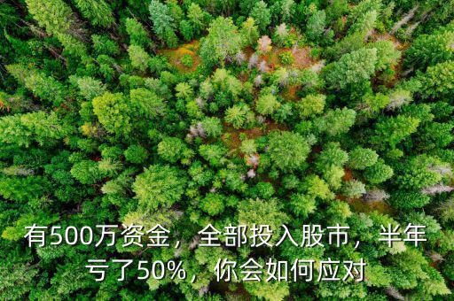 有500萬(wàn)資金，全部投入股市，半年虧了50%，你會(huì)如何應(yīng)對(duì)