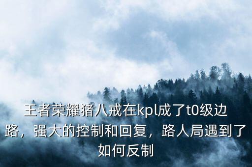 王者榮耀豬八戒在kpl成了t0級邊路，強(qiáng)大的控制和回復(fù)，路人局遇到了如何反制