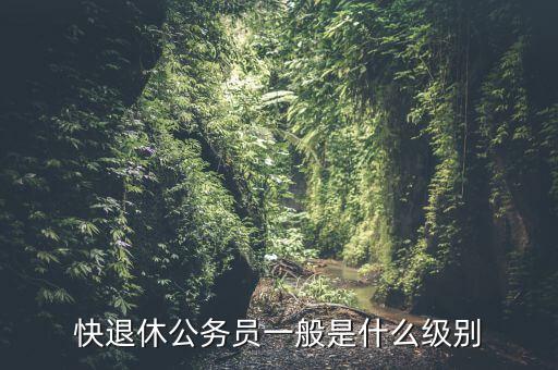 夏鳴九是什么級別,快退休公務(wù)員一般是什么級別