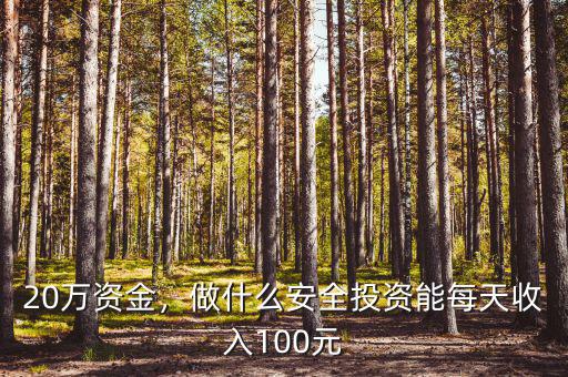 20萬資金，做什么安全投資能每天收入100元