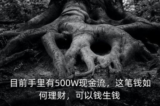 目前手里有500W現(xiàn)金流，這筆錢如何理財(cái)，可以錢生錢