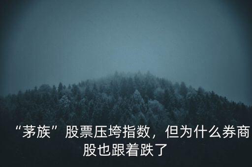 “茅族”股票壓垮指數(shù)，但為什么券商股也跟著跌了