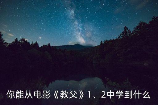 你能從電影《教父》1、2中學(xué)到什么