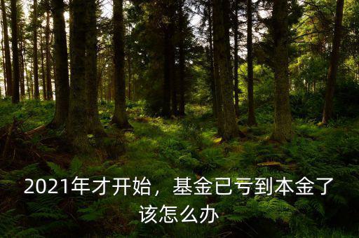 2021年才開始，基金已虧到本金了該怎么辦