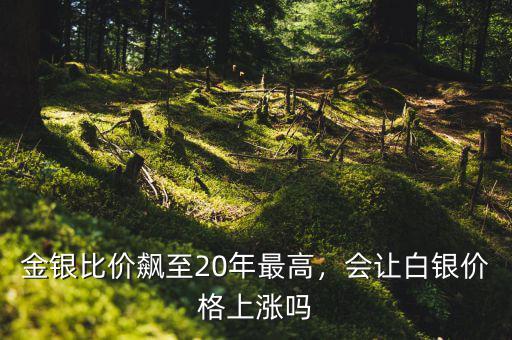 金銀比價飆至20年最高，會讓白銀價格上漲嗎