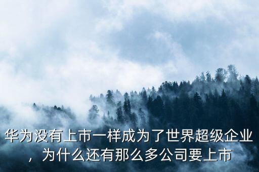 華為沒有上市一樣成為了世界超級(jí)企業(yè)，為什么還有那么多公司要上市