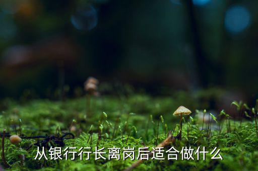 從銀行行長(zhǎng)離崗后適合做什么