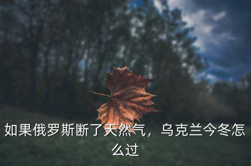 如果俄羅斯斷了天然氣，烏克蘭今冬怎么過