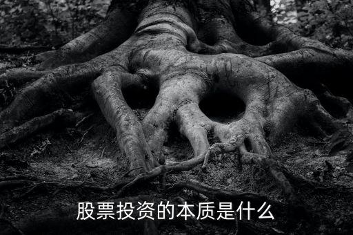 股票投資的本質(zhì)是什么