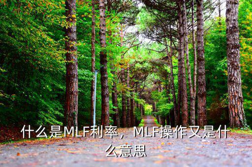 什么是MLF利率，MLF操作又是什么意思