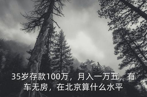 35歲存款100萬，月入一萬五，有車無房，在北京算什么水平