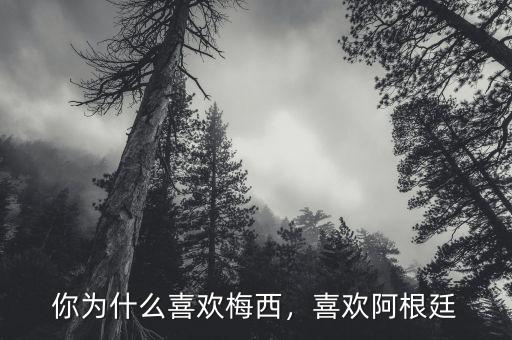 你為什么喜歡梅西，喜歡阿根廷