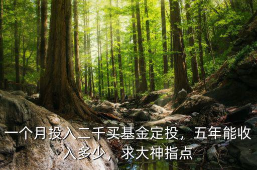 一個(gè)月投入二千買基金定投，五年能收入多少，求大神指點(diǎn)