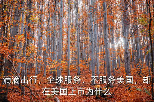 滴滴出行，全球服務(wù)，不服務(wù)美國，卻在美國上市為什么