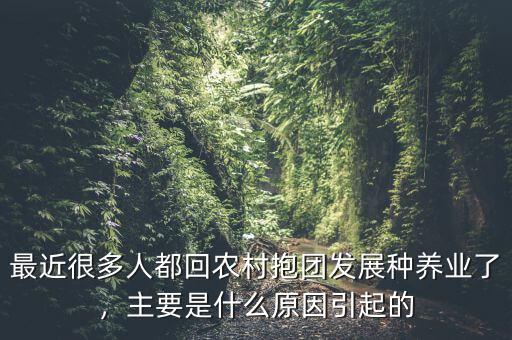 最近很多人都回農(nóng)村抱團發(fā)展種養(yǎng)業(yè)了，主要是什么原因引起的