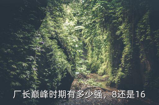 李河君巔峰時(shí)期有多少,廠長巔峰時(shí)期有多少強(qiáng)