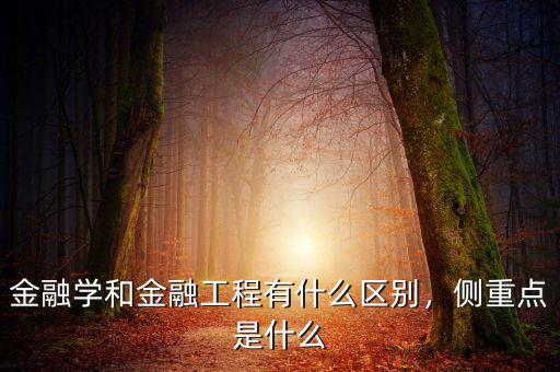 金融工程工具有什么,金融學(xué)和金融工程有什么區(qū)別