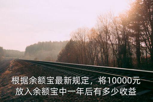 根據(jù)余額寶最新規(guī)定，將10000元放入余額寶中一年后有多少收益