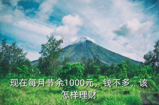 現(xiàn)在每月節(jié)余1000元，錢不多，該怎樣理財(cái)