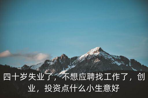 四十歲失業(yè)了，不想應(yīng)聘找工作了，創(chuàng)業(yè)，投資點(diǎn)什么小生意好