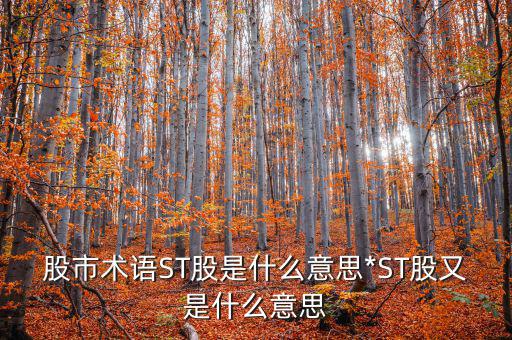 股市術(shù)語ST股是什么意思*ST股又是什么意思