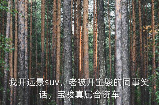 我開遠景suv，老被開寶駿的同事笑話，寶駿真屬合資車