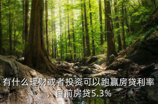 有什么理財或者投資可以跑贏房貸利率，目前房貸5.3%