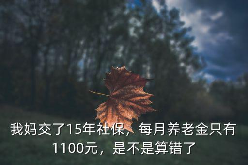 我媽交了15年社保，每月養(yǎng)老金只有1100元，是不是算錯了