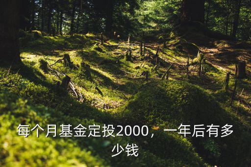 每個(gè)月基金定投2000，一年后有多少錢