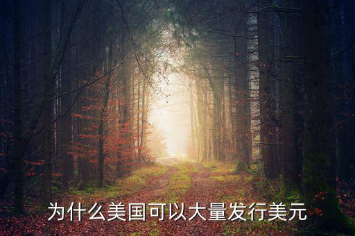 為什么美國可以大量發(fā)行美元