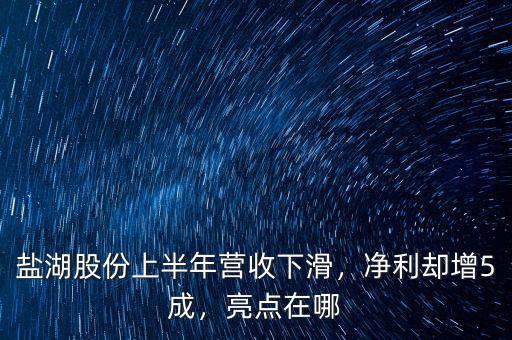 鹽湖股份上半年營收下滑，凈利卻增5成，亮點在哪