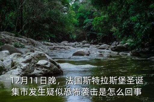 12月11日晚，法國斯特拉斯堡圣誕集市發(fā)生疑似恐怖襲擊是怎么回事