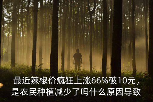 最近辣椒價瘋狂上漲66%破10元，是農(nóng)民種植減少了嗎什么原因?qū)е? class=