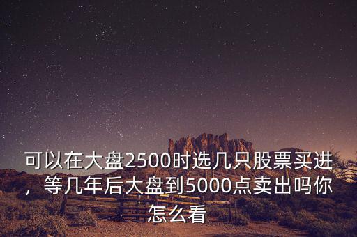 可以在大盤2500時選幾只股票買進，等幾年后大盤到5000點賣出嗎你怎么看