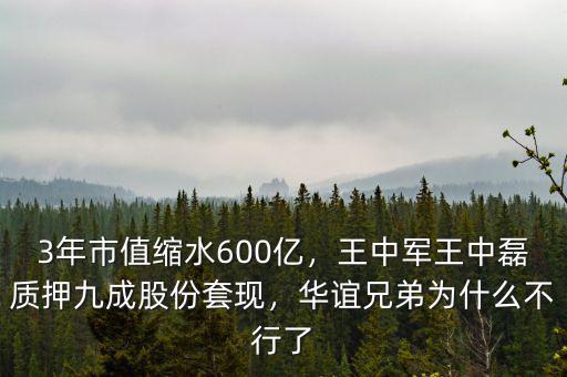 3年市值縮水600億，王中軍王中磊質(zhì)押九成股份套現(xiàn)，華誼兄弟為什么不行了